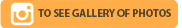 GALER&Iacute;A